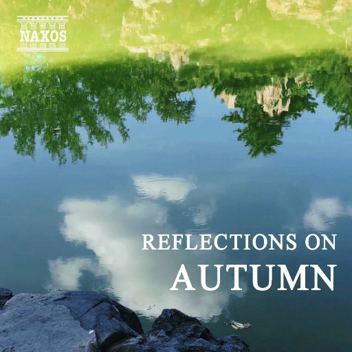 中文起碰亚洲先锋资源5566
